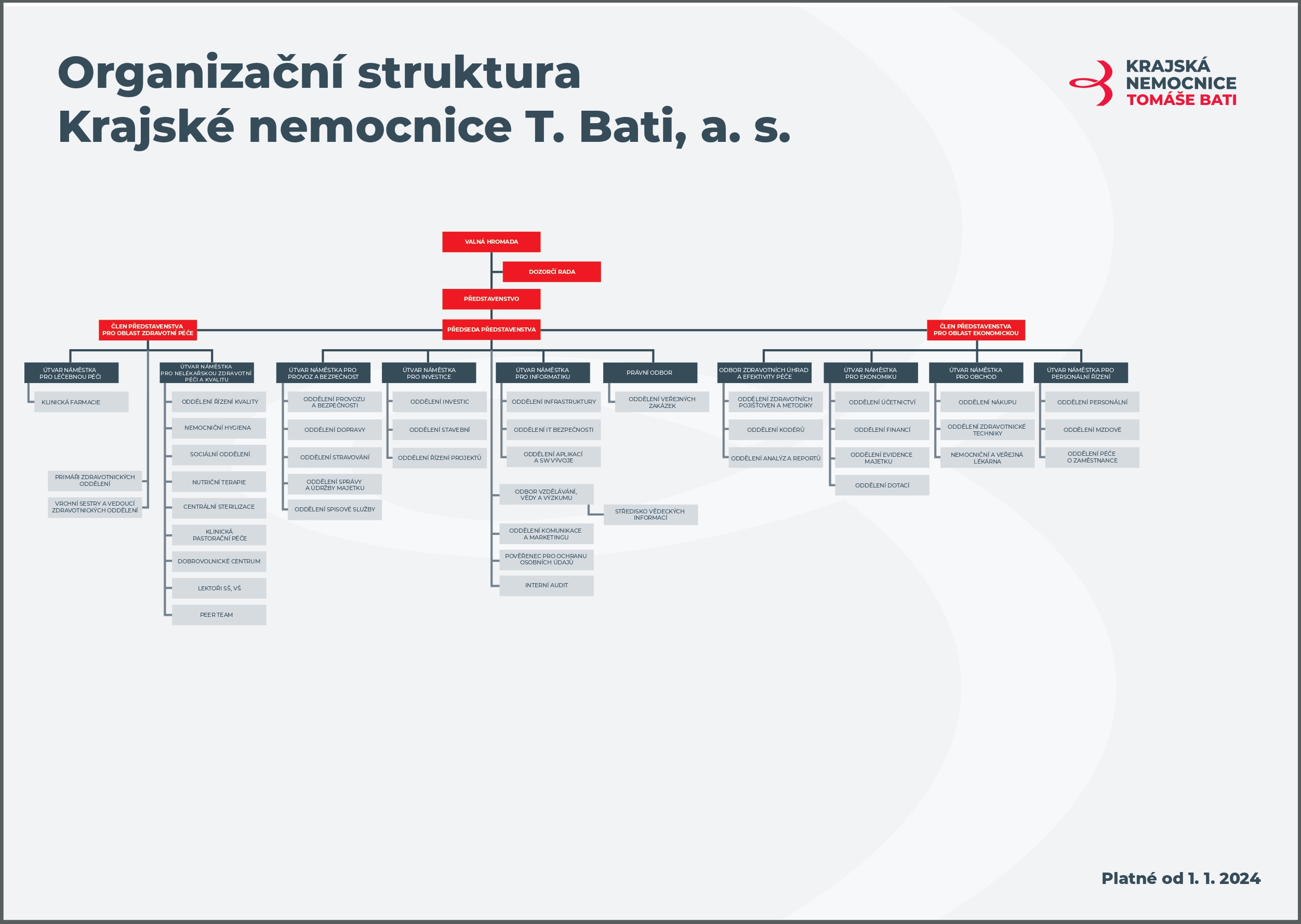 Organizační struktura